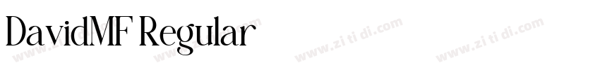DavidMF Regular字体转换